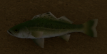 Bass