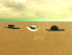 Cowboy Hat