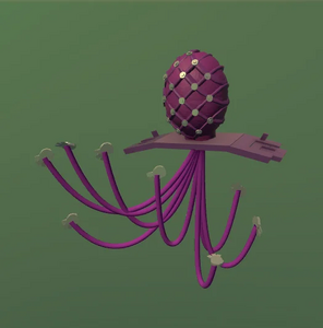 Purple Mandom